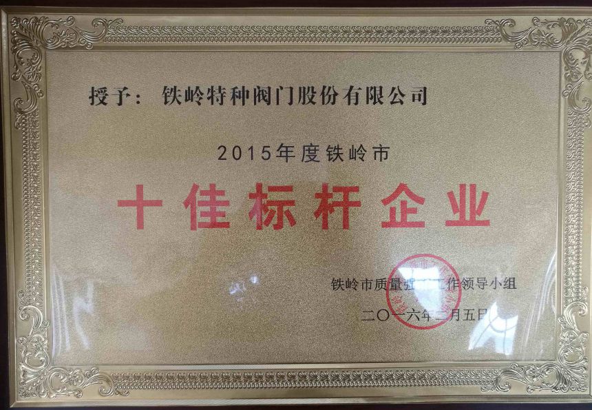 2016十佳標桿企業(yè).jpg